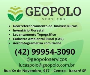 Geopolo serviços