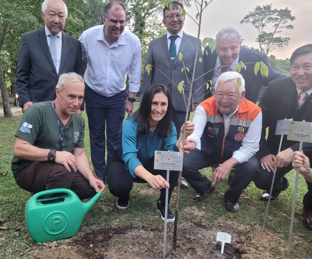 Parque ganha mudas em homenagem à parceria entre SP e Japão