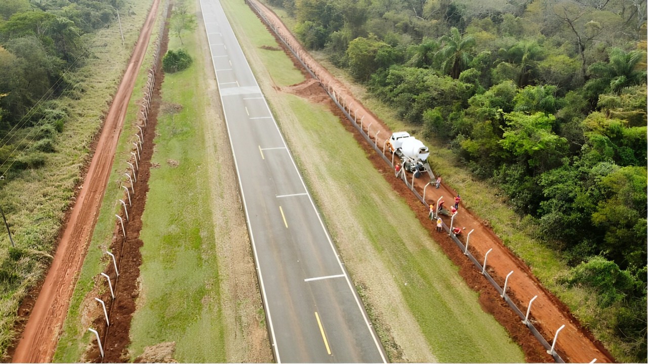 SP investe em dispositivos para proteger animais que cruzam a rodovia em presidente prudente