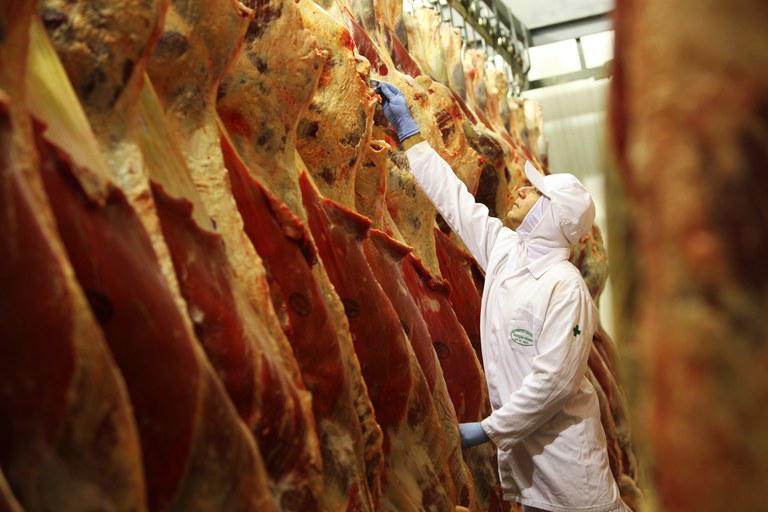 Brasil avança nas negociações para exportação de carne bovina à Turquia