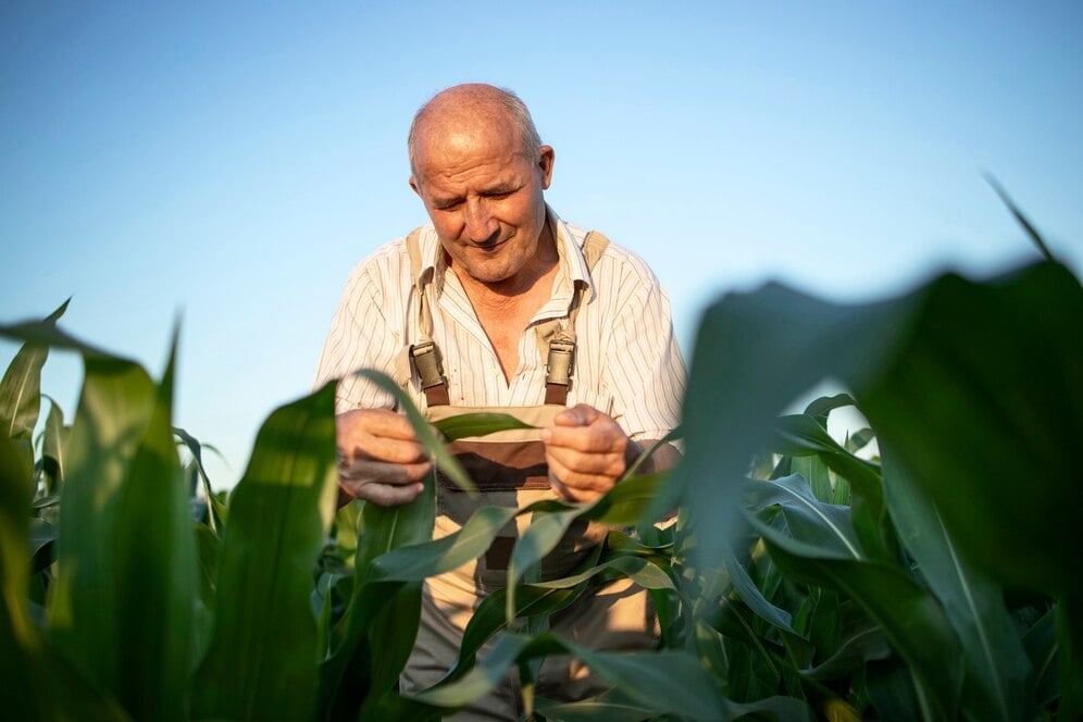 CNA analisa cenários do agronegócio para 2025 em evento