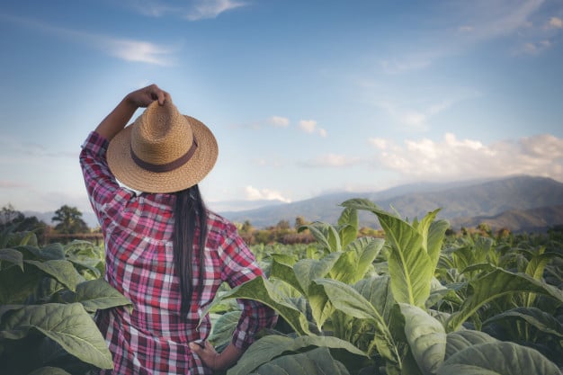 CNA destaca sustentabilidade do agro brasileiro em evento