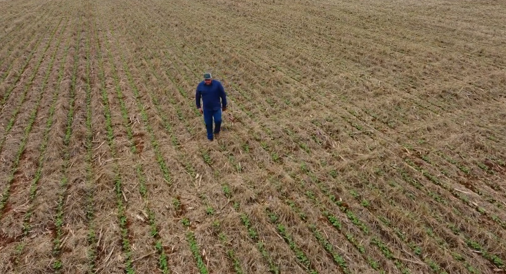 Expedição Soja Brasil acompanha de perto o plantio da soja