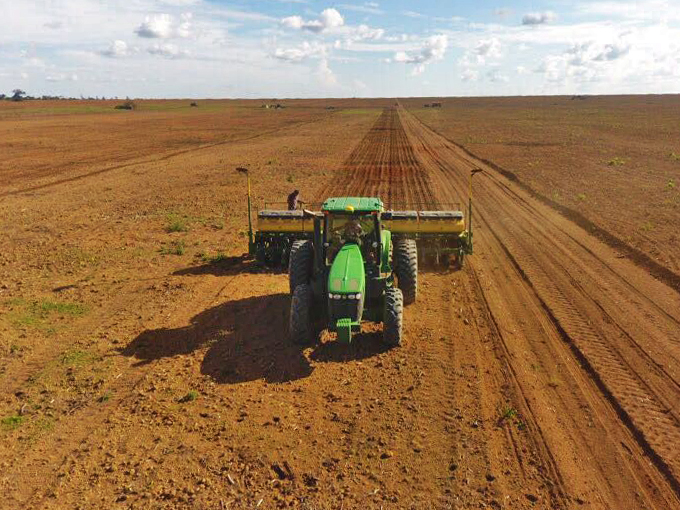 Ministério da Agricultura e Pecuária reduz custos para produtores da soja