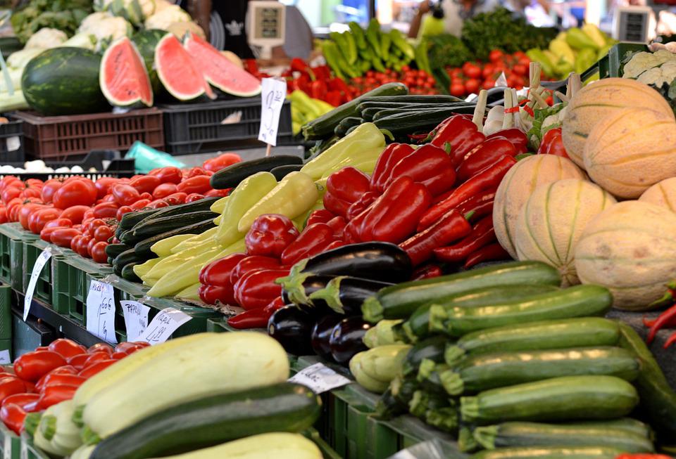 Mudanças no sistema agroalimentar brasileiro podem poupar US$ 427 bilhões anuais