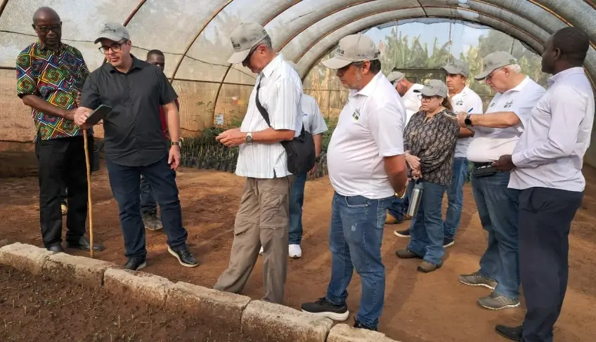 Pesquisadores agrícolas do Amapá conhecem na Tanzânia inovações no plantio da mandioca e desenvolvimento de sementes | ASN Amapá