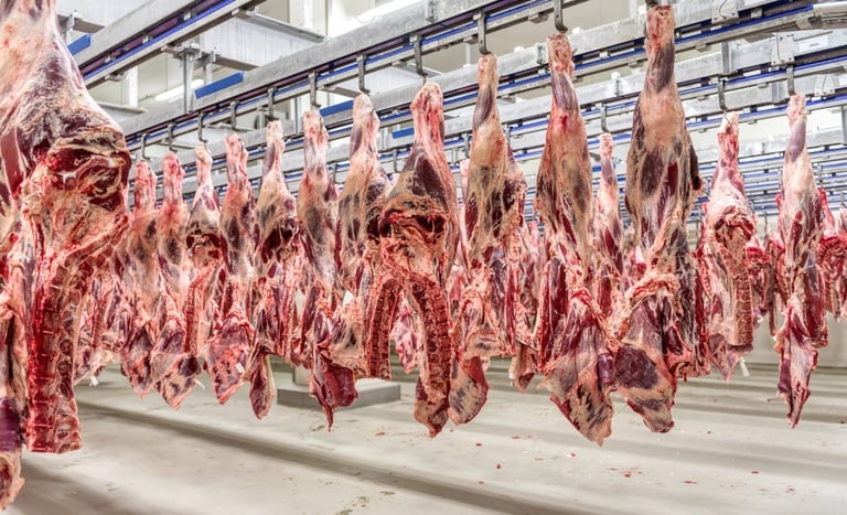 Produção de carnes do Brasil deve crescer 22% em dez anos