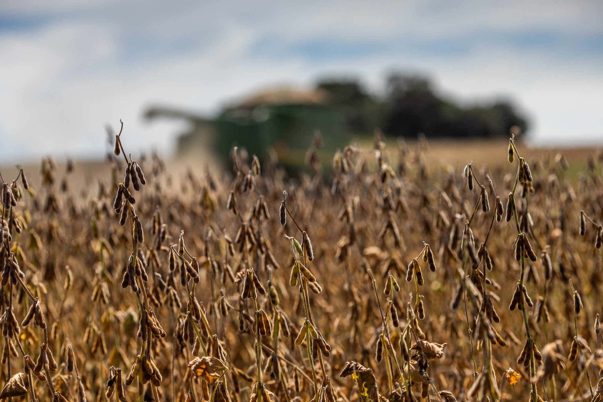 Recuperação judicial: agro tem alta de 20,5% no 3º tri no número de empresas