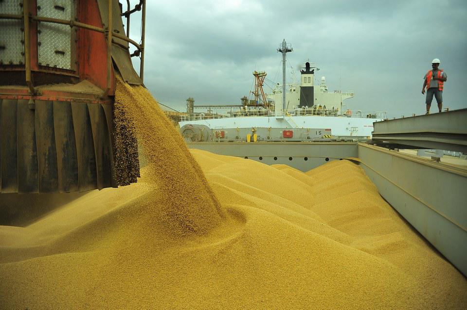 Brasil exportou 97,299 milhões de t de soja em grão em 2024