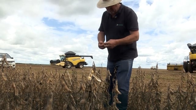 o avanço no plantio da soja em Mato Grosso