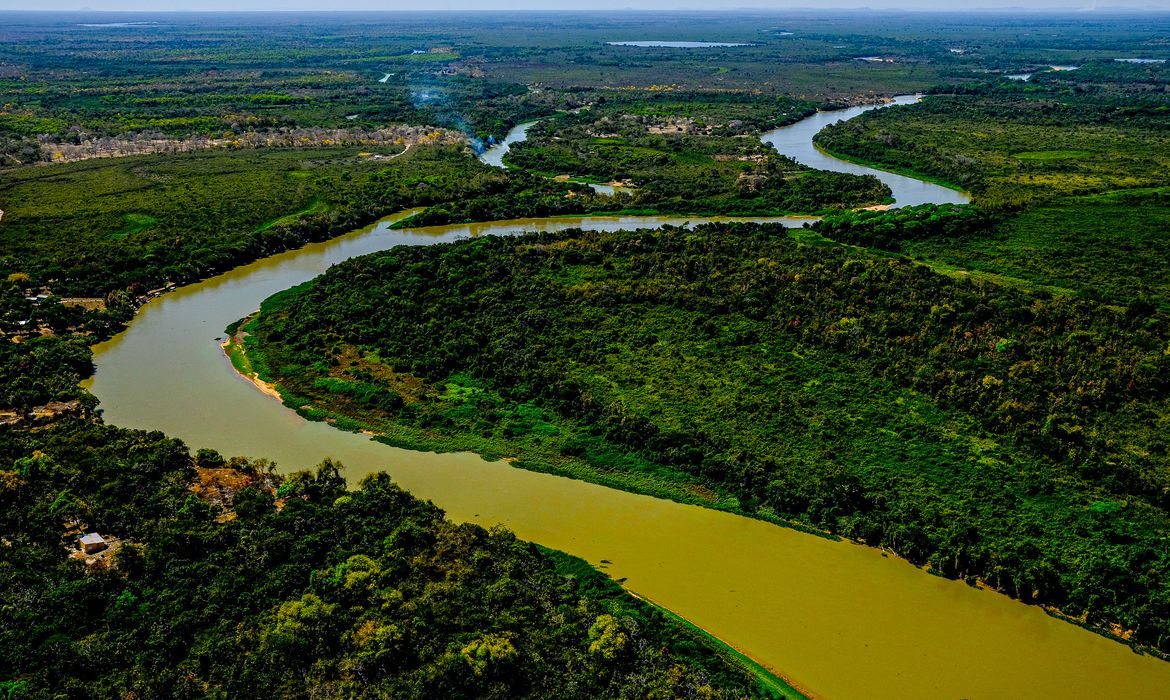 Clima adverso em 2024 atrapalha o desempenho agropecuário de Mato Grosso do Sul