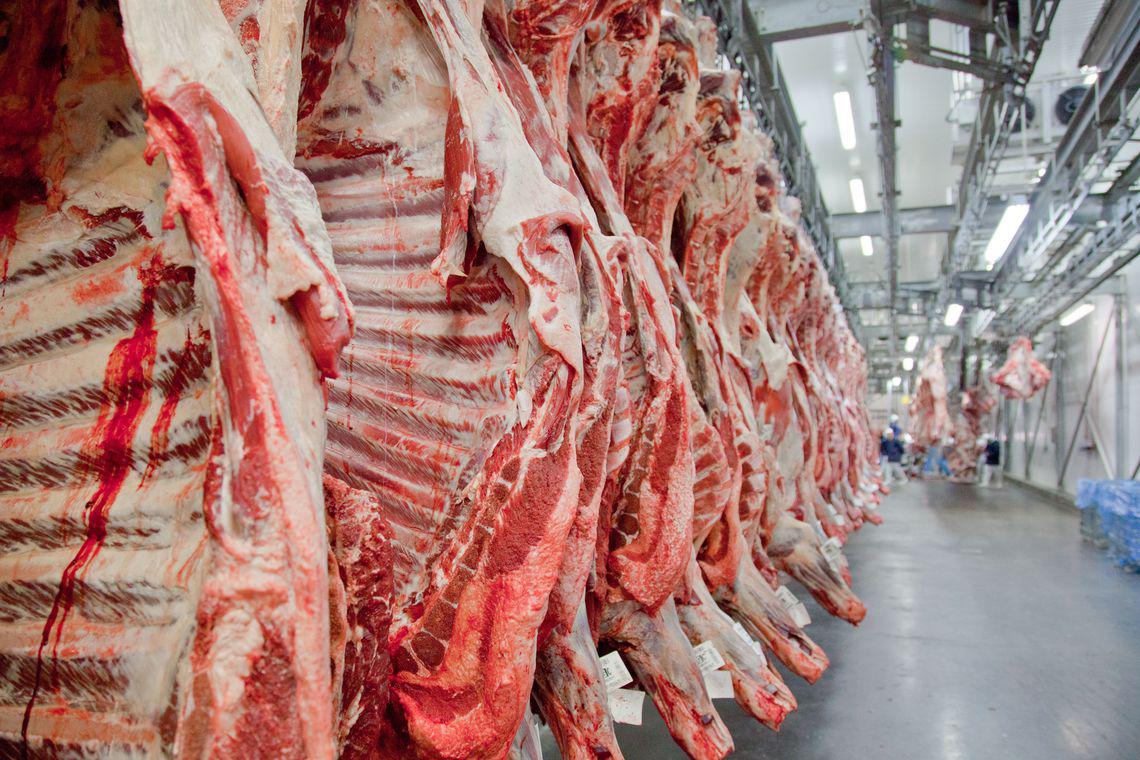 Exportações de carne bovina perdem ritmo, mas ainda crescem 9%