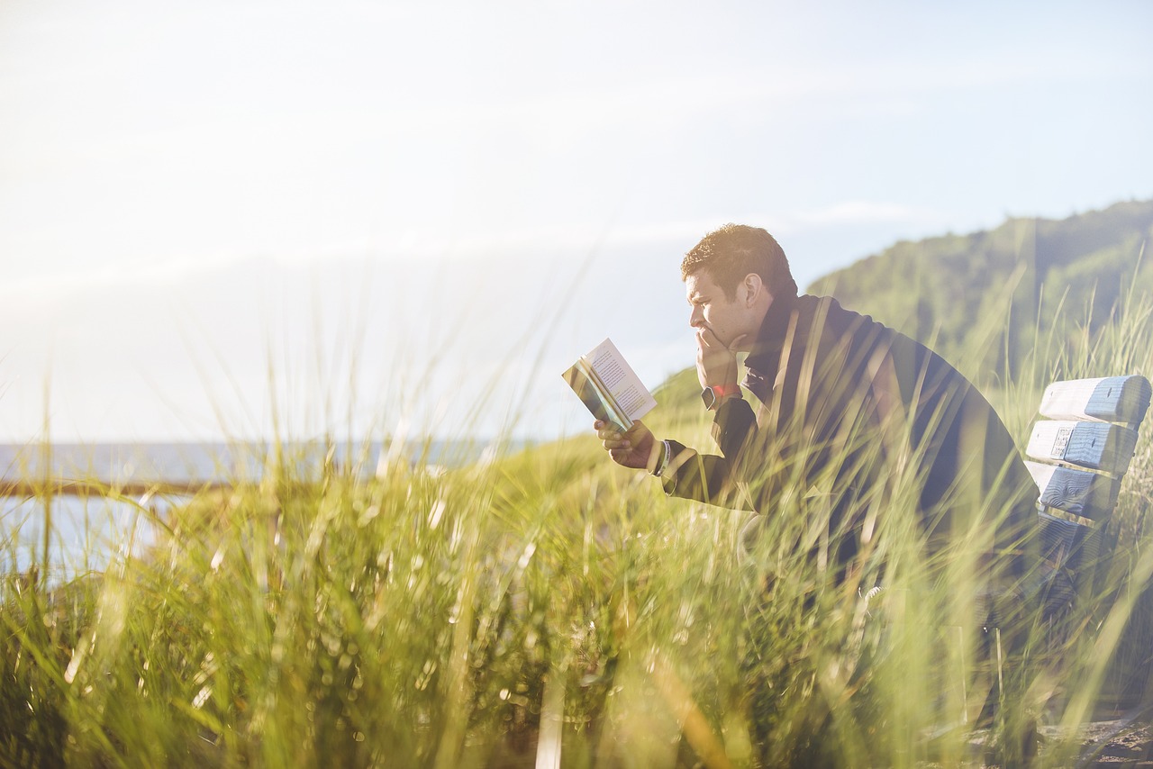 Livro detalha 70 opções de plantas de cobertura para a agricultura brasileira