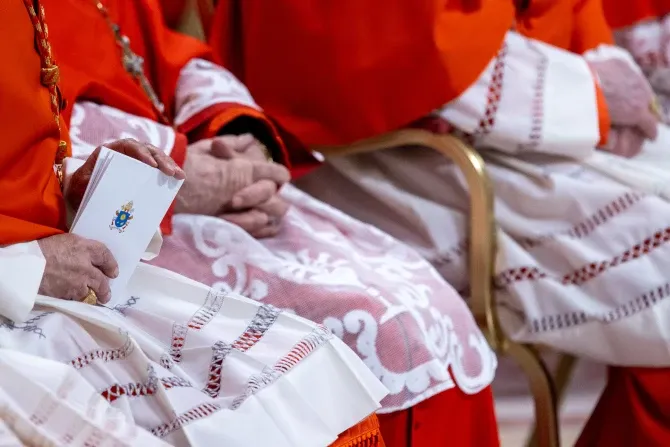 O que os novos cardeais do papa Francisco revelam sobre o futuro conclave