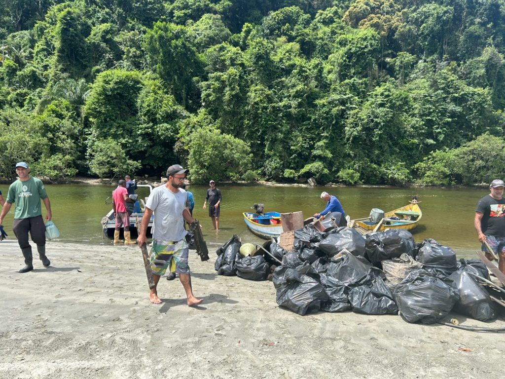 Programa do Governo de SP encerra ano com 32 toneladas de materiais removidos de oceanos e manguezais