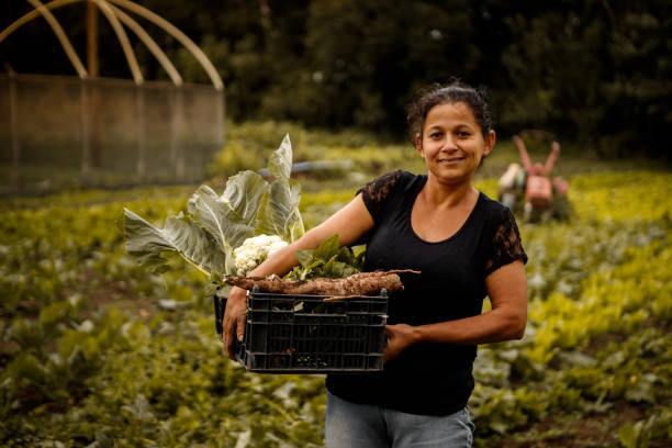 População empregada no agronegócio cresceu 2%