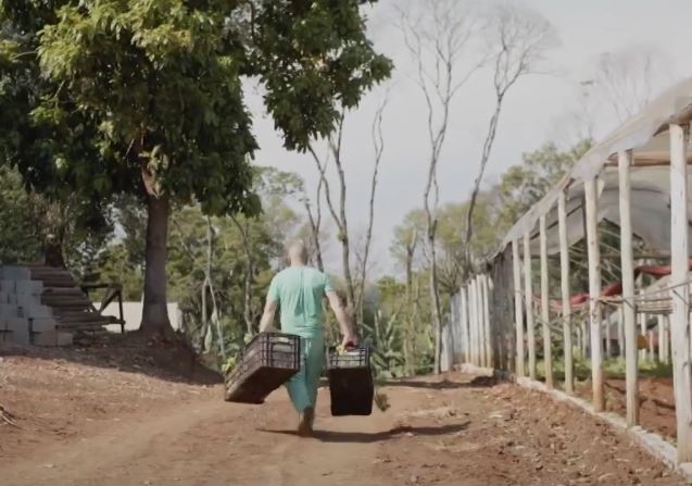 Complexo penitenciário utiliza atividades agrícolas para ressocialização de detentos