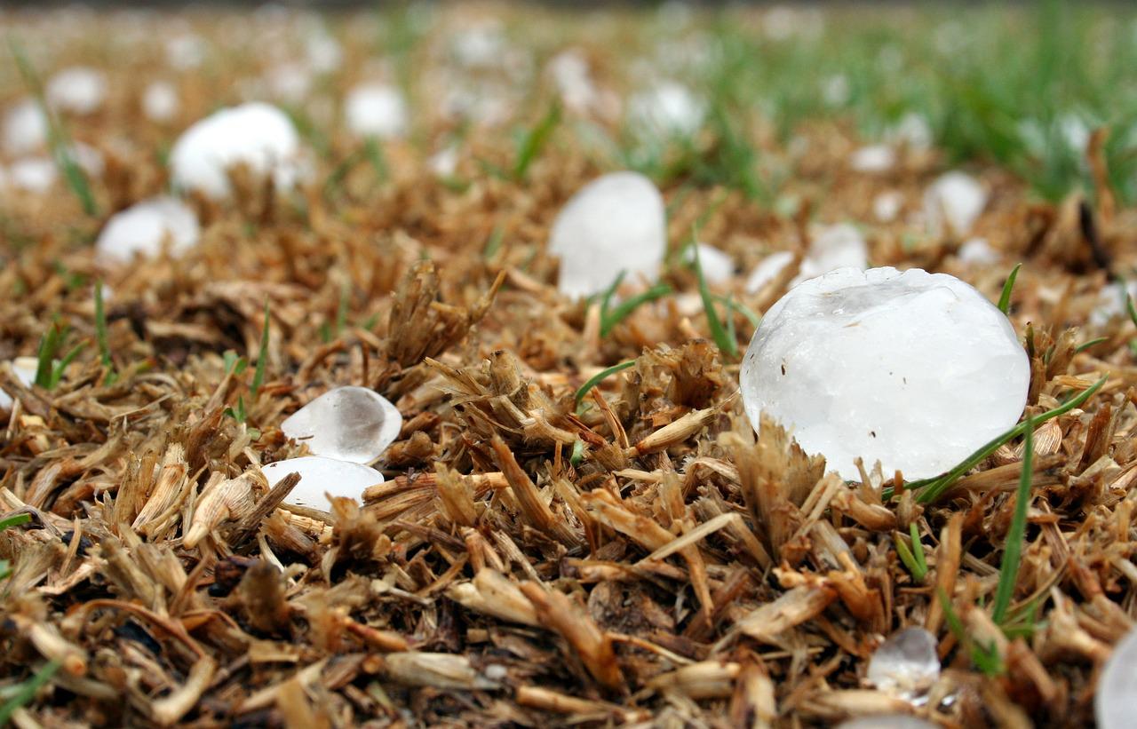 Granizo destrói lavouras de soja no Rio Grande do Sul