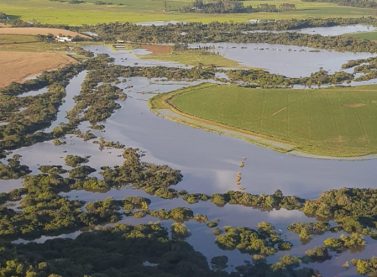 MDA faz balanço de ações para agricultores familiares afetados