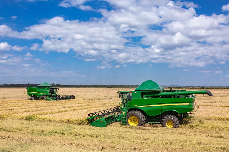 PIB do agro reage no 3º trimestre e recuo esperado para 2024 diminui