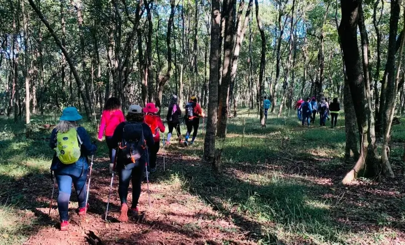 Rota Caminho dos Ipês é impulsionada com apoio do Sebrae