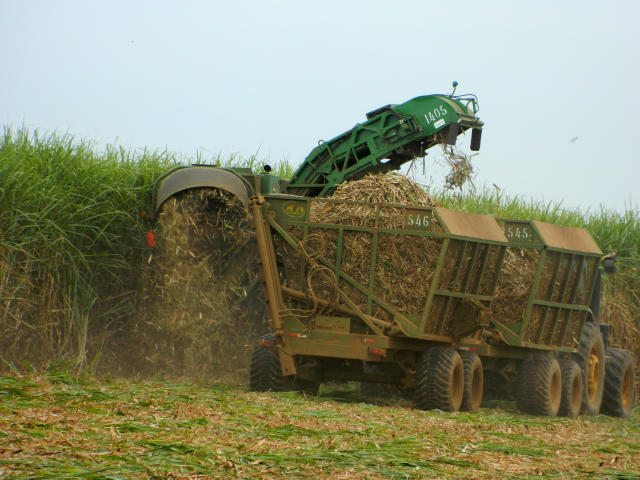 SP lidera exportações agropecuárias com superávit recorde de R$ 150 bi em 2024