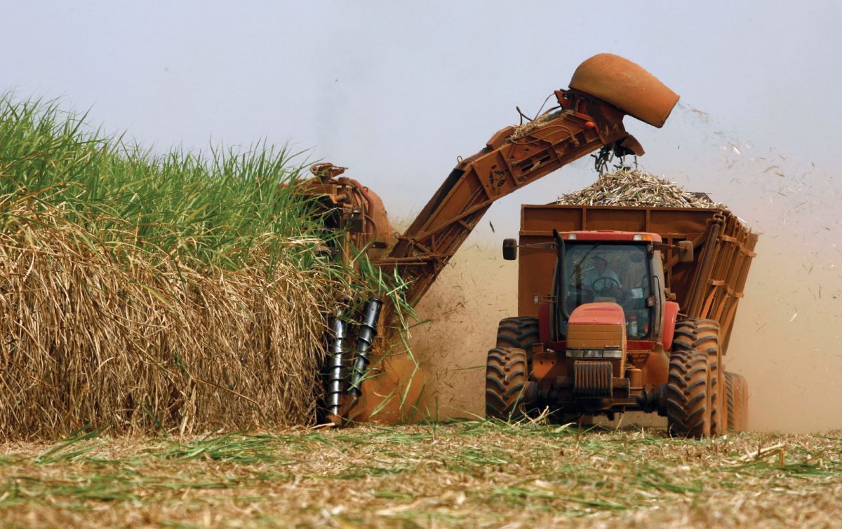 Tereos abre mais de 400 vagas nas áreas de agricultura, indústria e logística