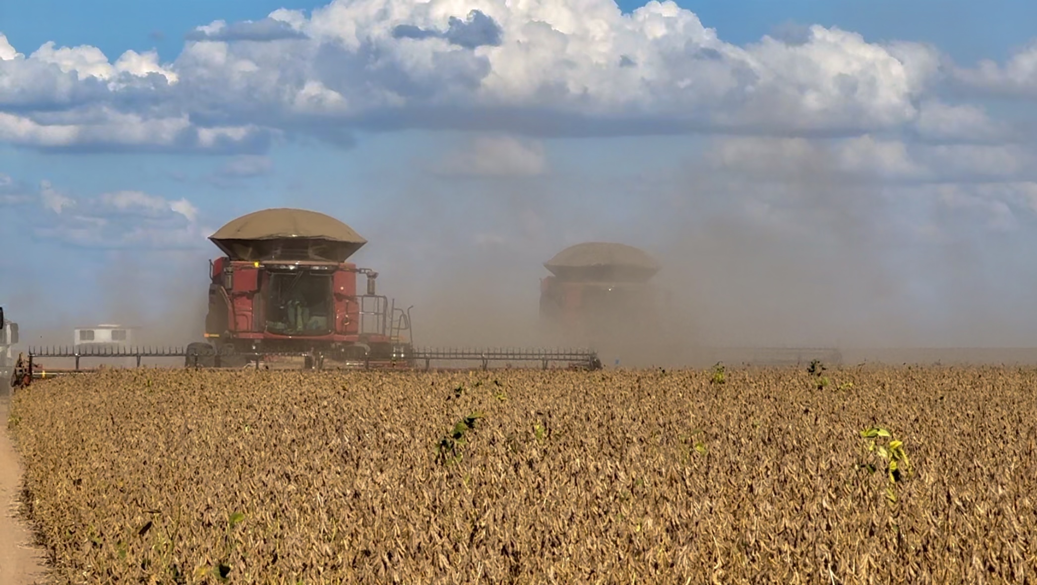 Valor bruto da produção agropecuária deve crescer e chegar a R$ 1,419 tri