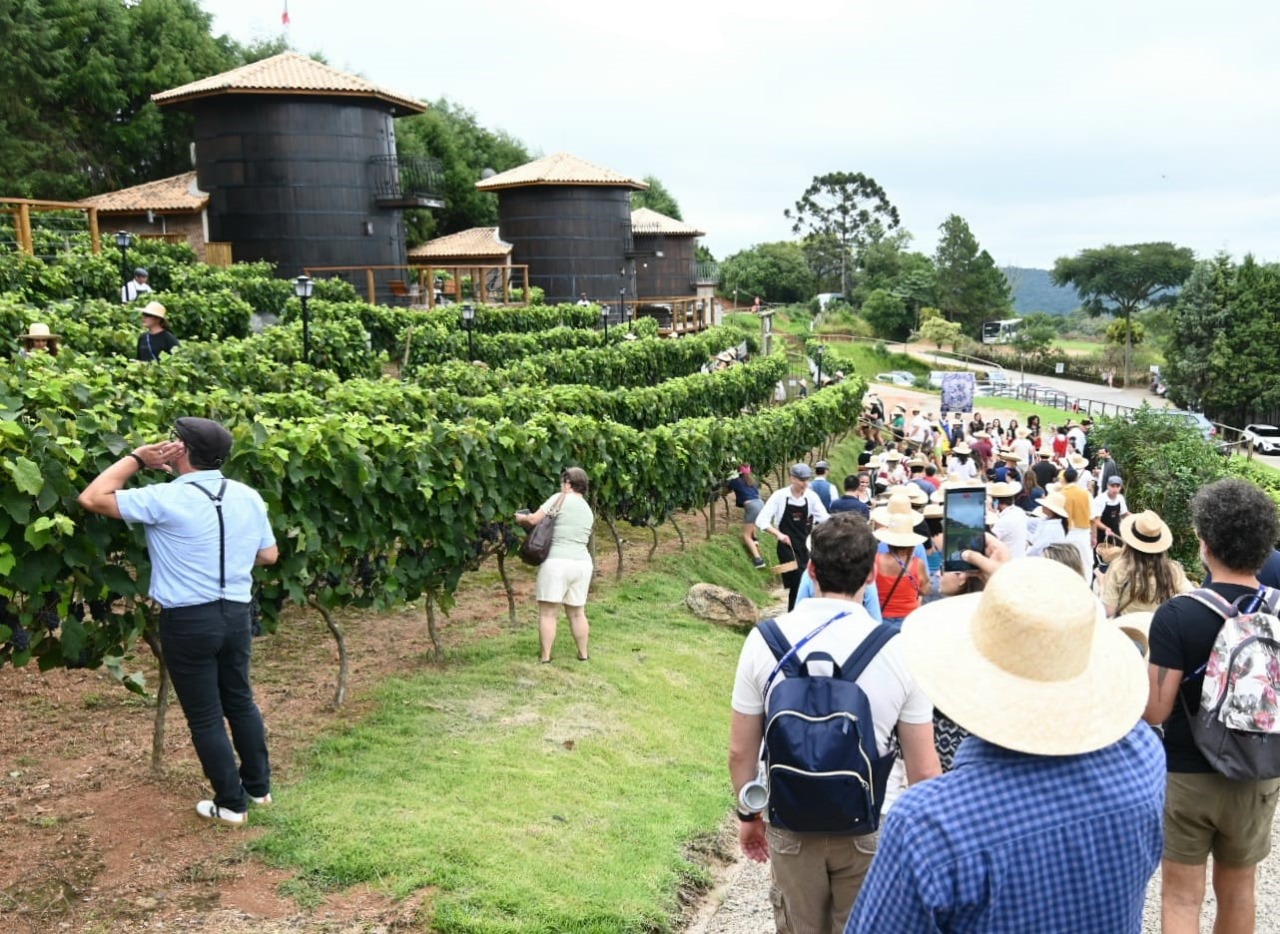 Vinícolas do estado de SP celebram colheita; veja opções para participar da pisa da uva