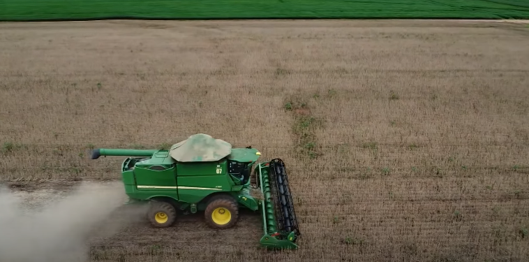 a produção da commodity em SC